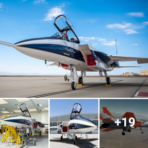 The F-15 Eagle’s 50th anniversary is celebrated with excellence by the US Air Force.