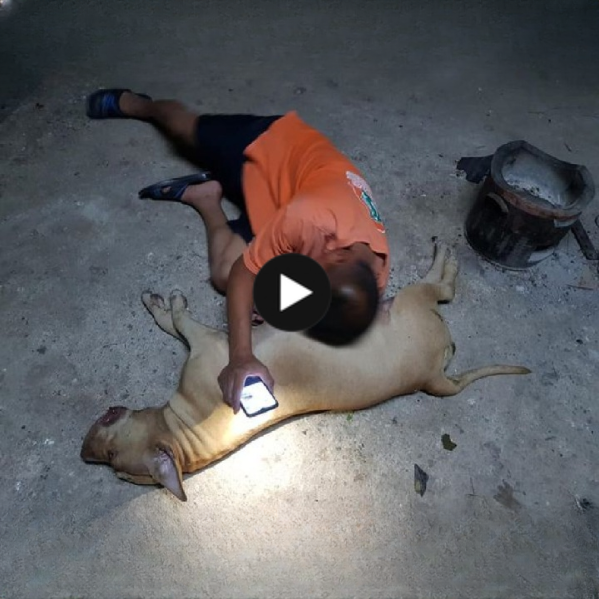 A brave dog sacrificed his life to fight off a cobra to save his owner.