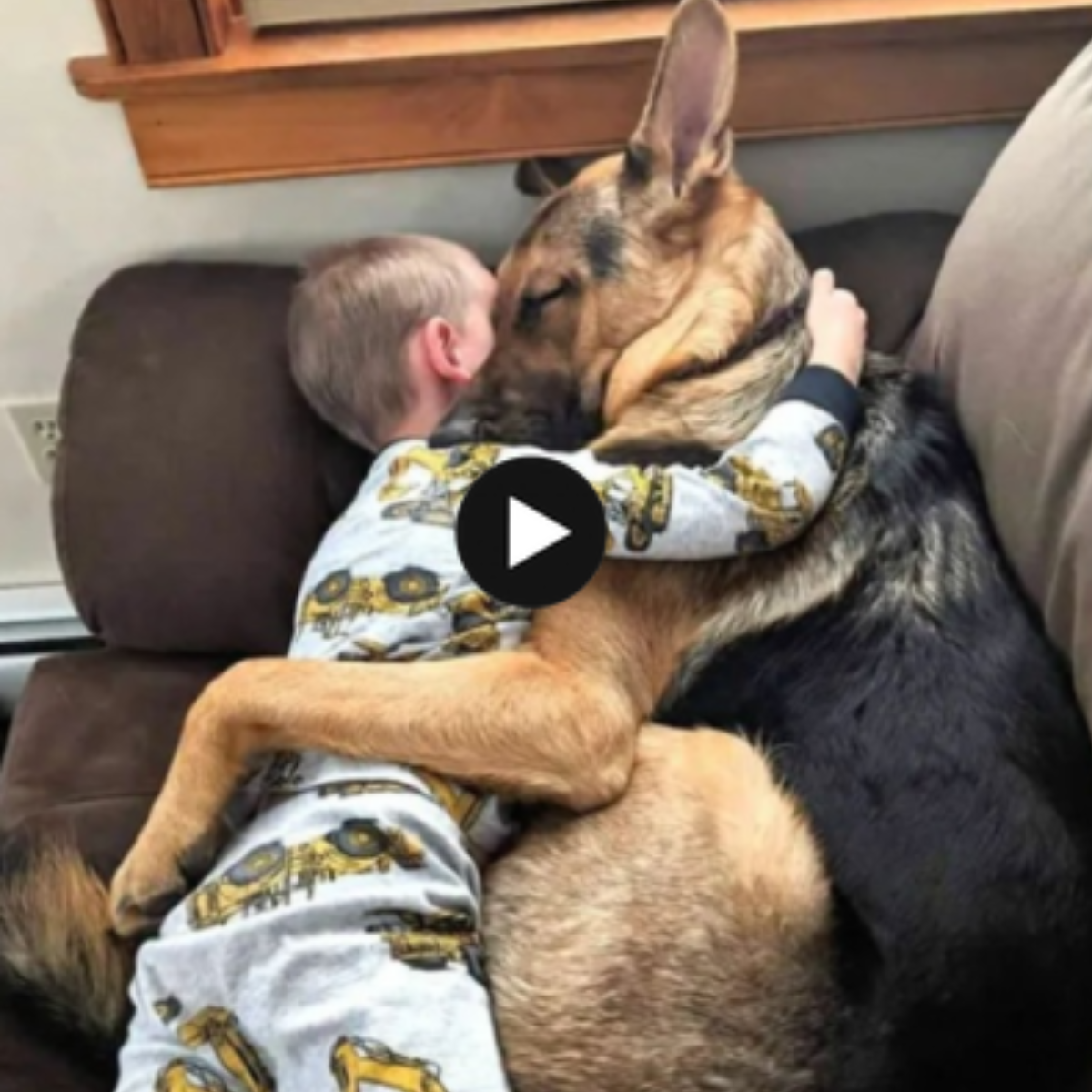 From Adoptation to Protector: A Dog’s Trip to Happiness and Faithfulness With His 5-Year-Old Buddy