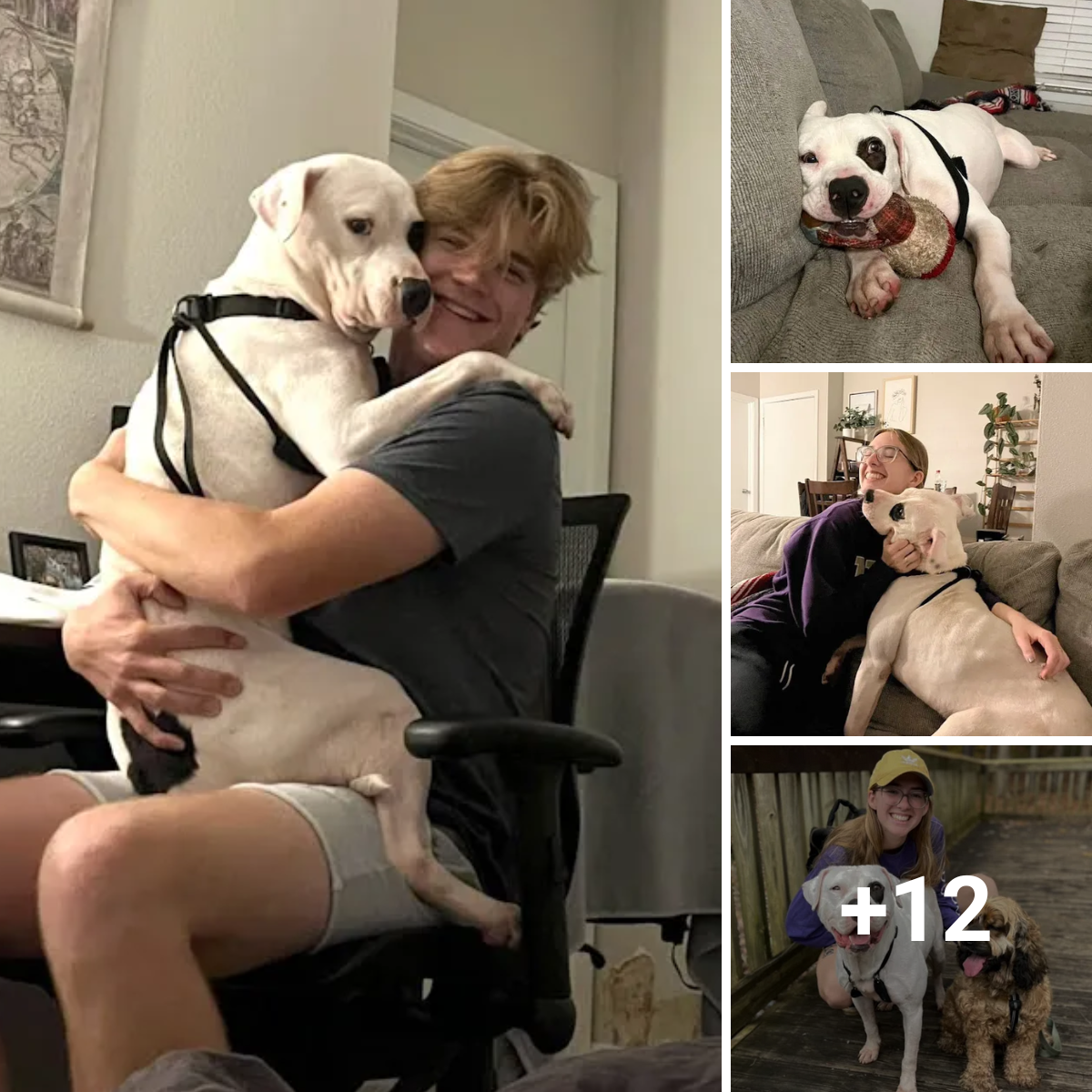The Longest Shelter Dog Discovers Happiness: Grinning After Being Saved by a Caring Family