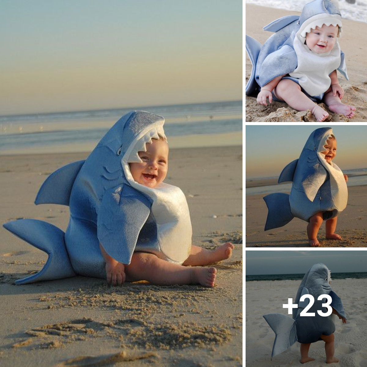 A lovable baby shark is making waves on social media. Too cute.