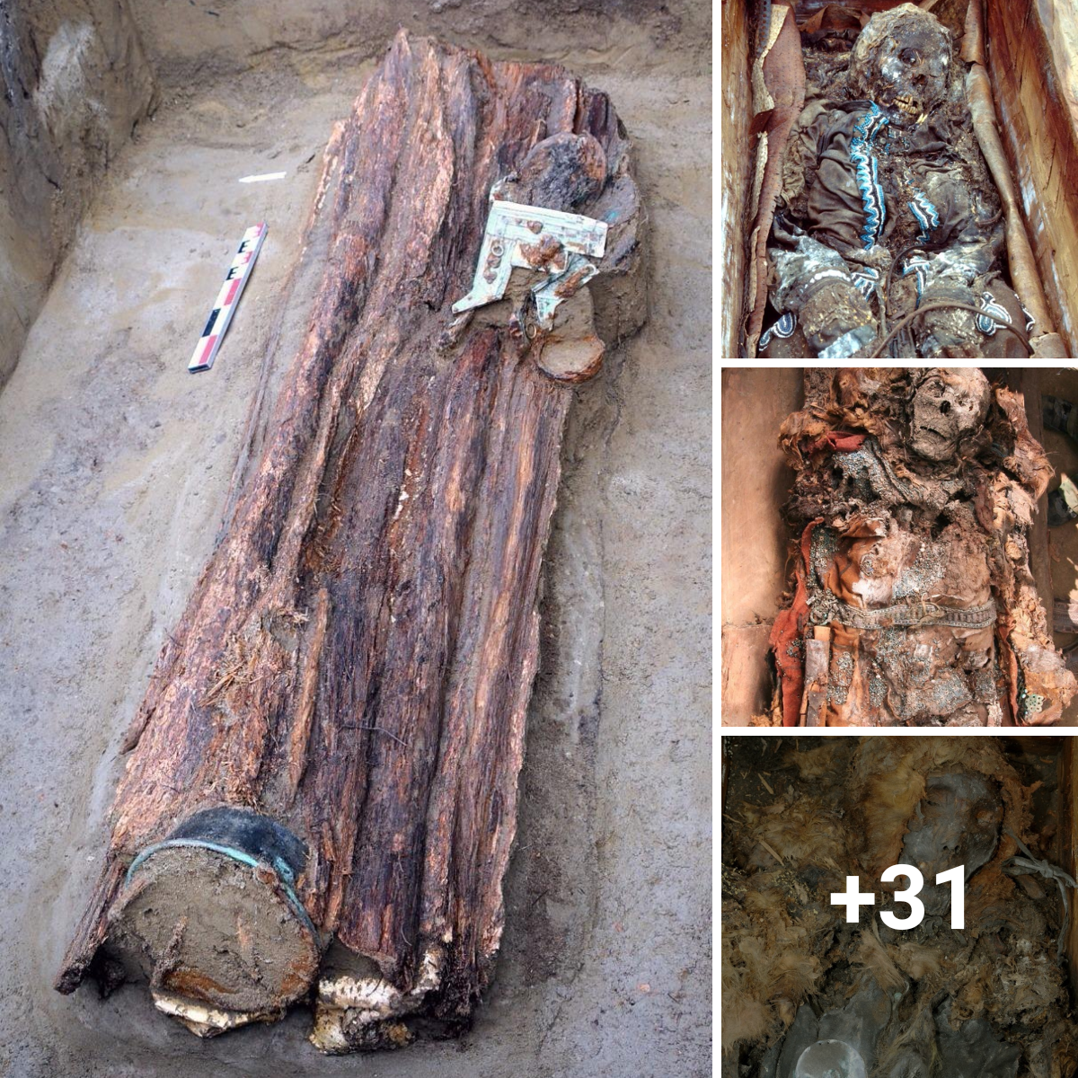 After 2,200 years, the mummy of a shamanic woman was discovered buried within a tree, “wearing fancy clothes and jewelry.”