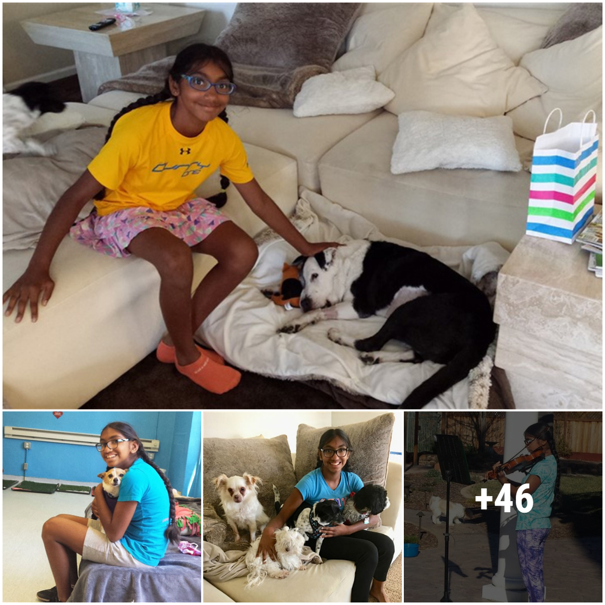 An orphan girl was kindly adopted to help poor dogs in similar situations find forever loving homes.
