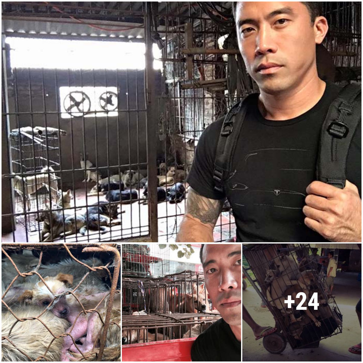 Chinese activist Marc Ching stops the eating of thousands of dogs during the Yulin festival