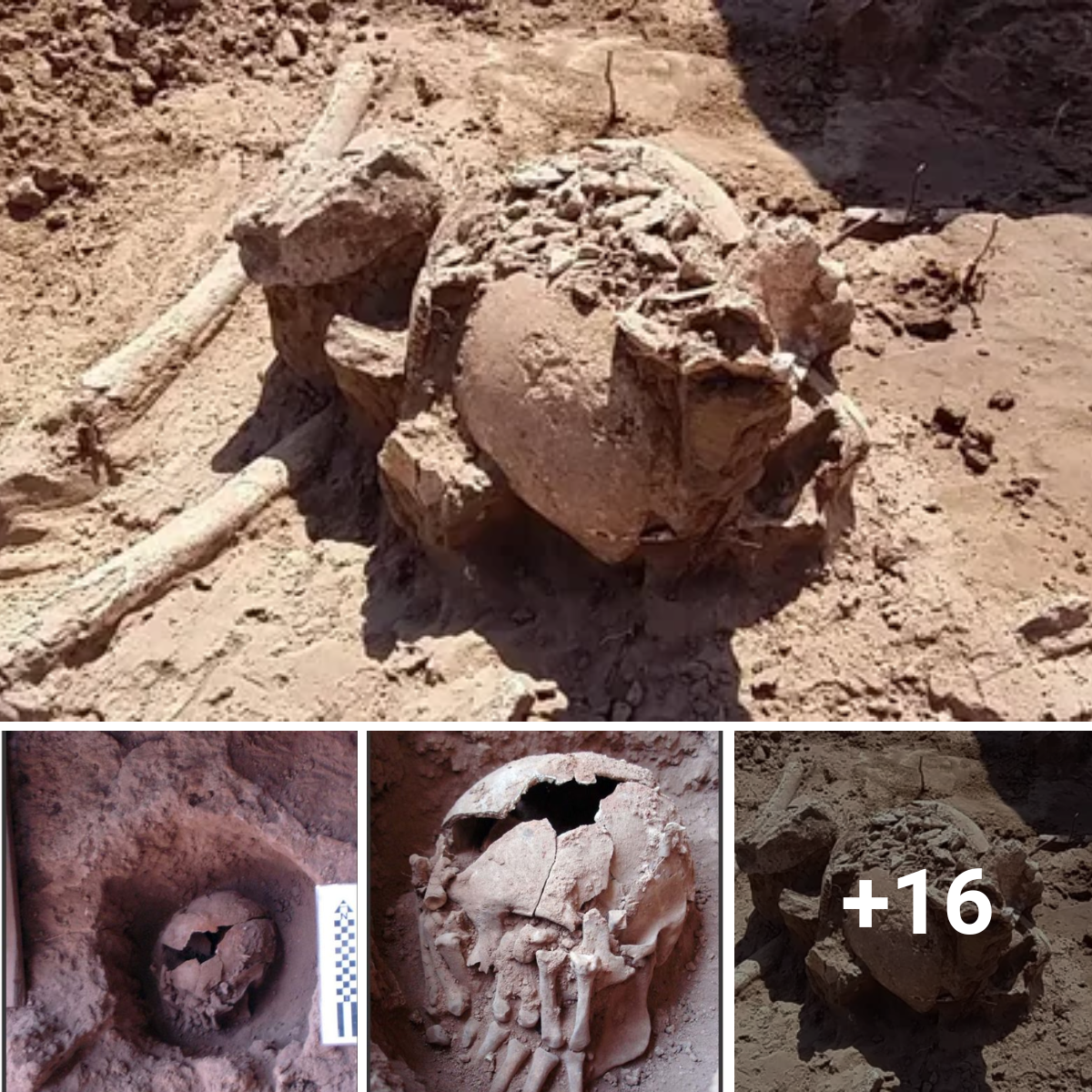 Ancient American beheading ritual found in 9,000-year-old amputated head