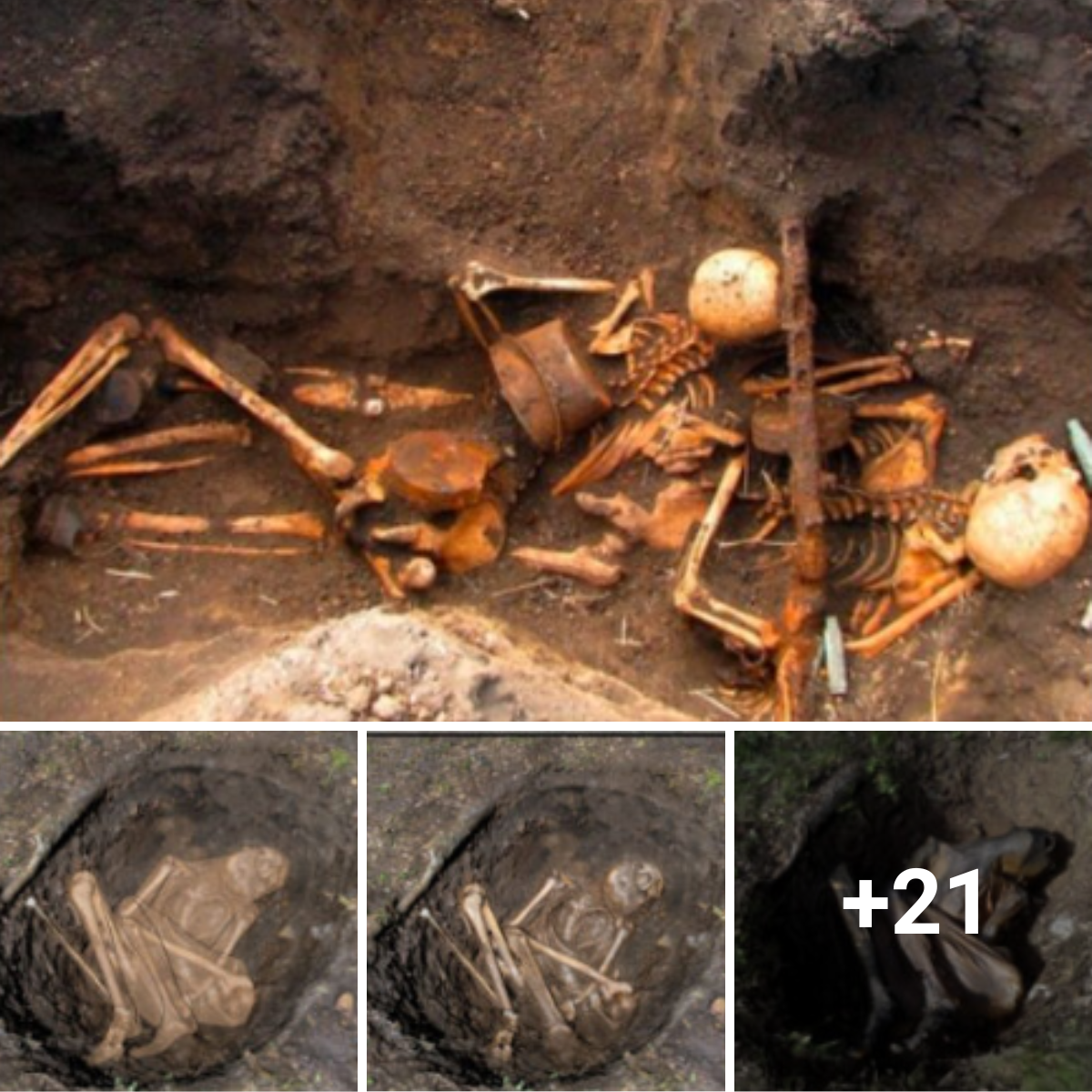 The world’s oldest mummies are Portugal’s 8,000-year-old human skeletons, which provide a unique and profound window into the early stages of civilization.