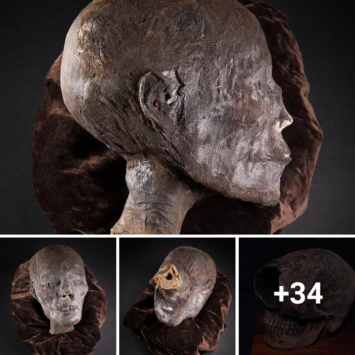 An ancient Egyptian mummified head dating back 2,800 years is being auctioned in the UK.