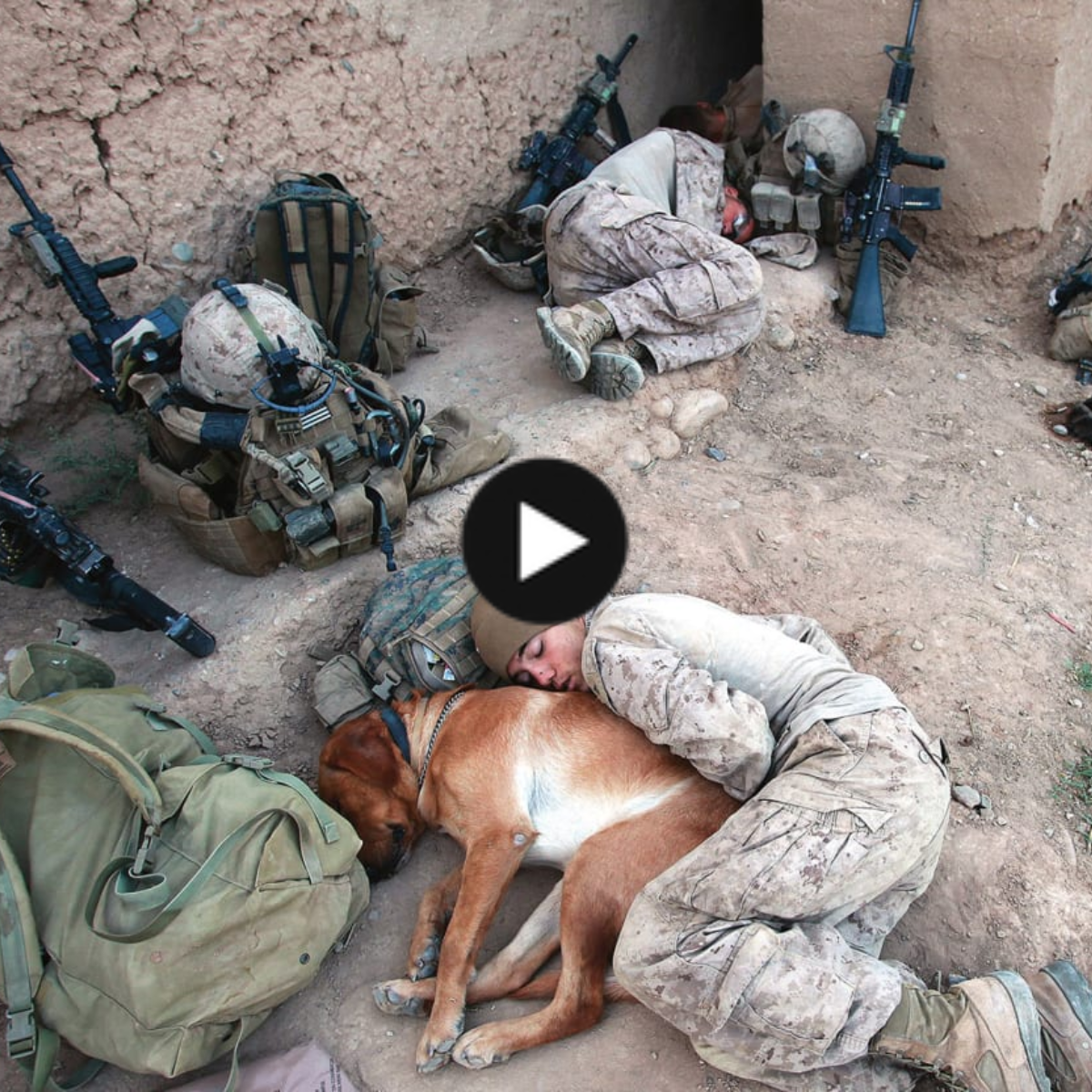 In the middle of chaos: A soldier and his devoted dog, Doggy, have a sweet moment, demonstrating their unbreakable love and touching people’s hearts all across the world.