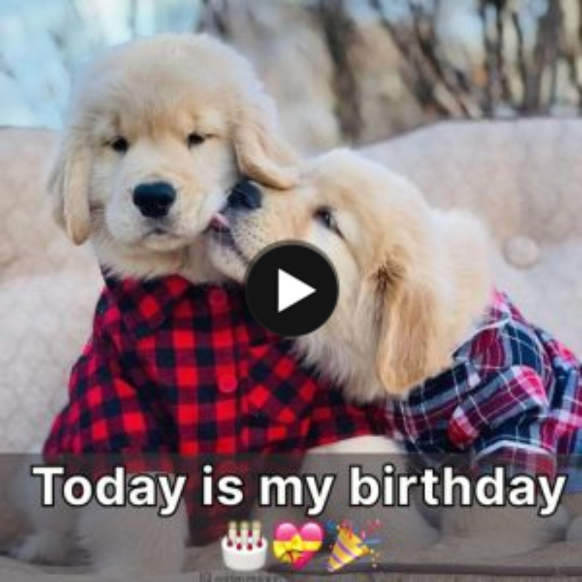 Today is my birthday, I have a companion with me, we are very happy and look forward to receiving loving wishes from everyone.