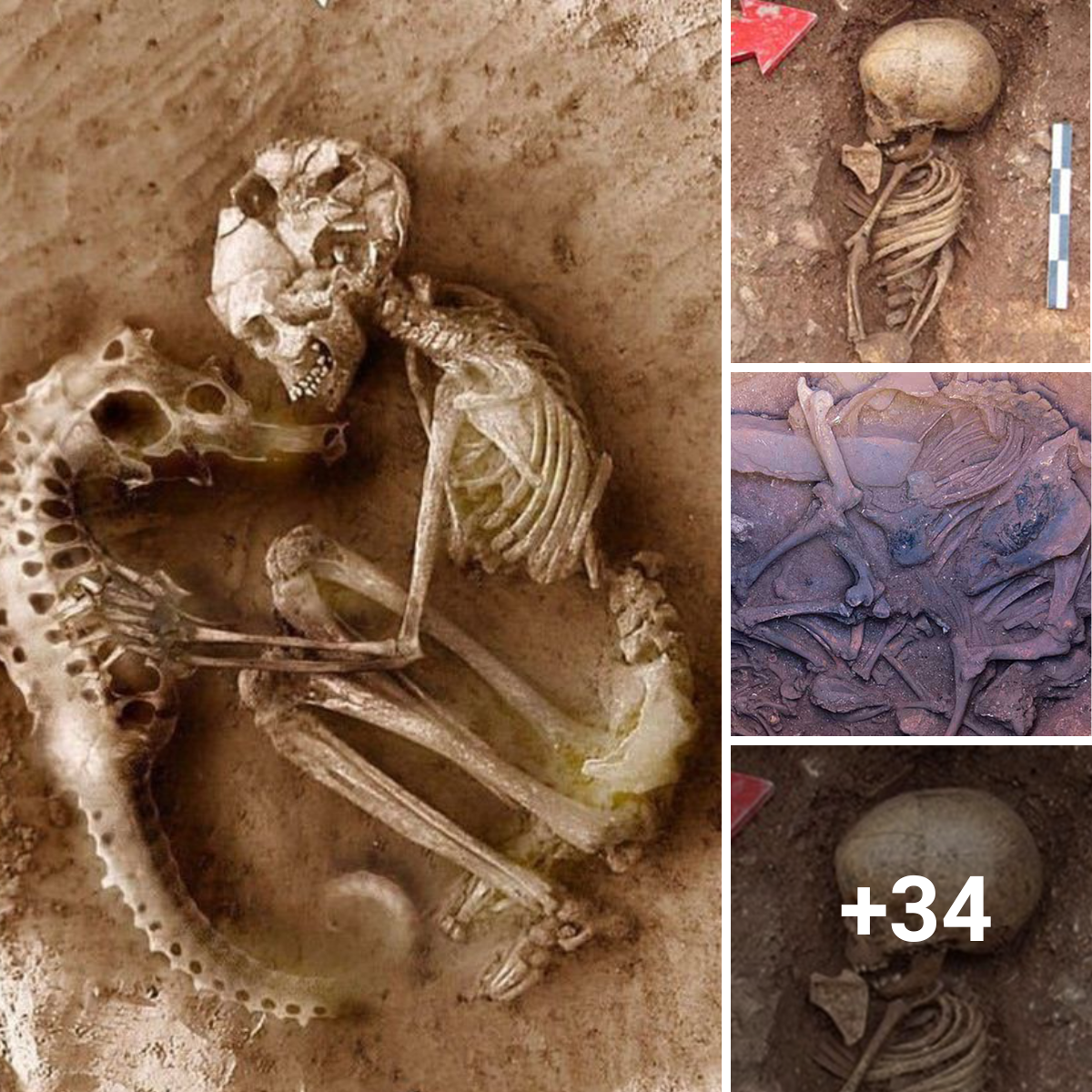 Mysterious Burial: Archaeologists Discover Baby and Seahorse Skeletons Entwined in an Ancient Grave