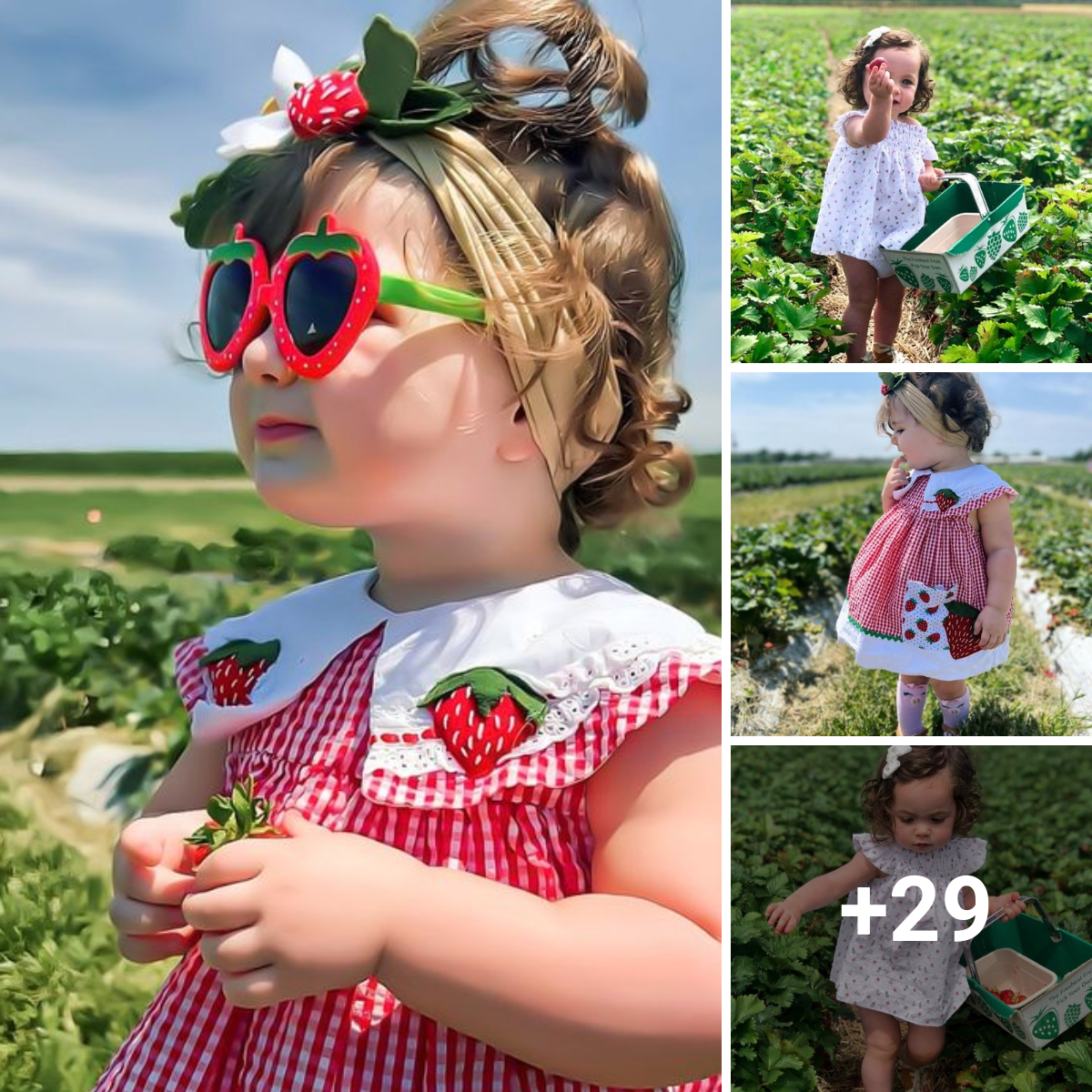 Mary, age 2, was thrilled to assist her grandparents in harvesting strawberries for the first time.