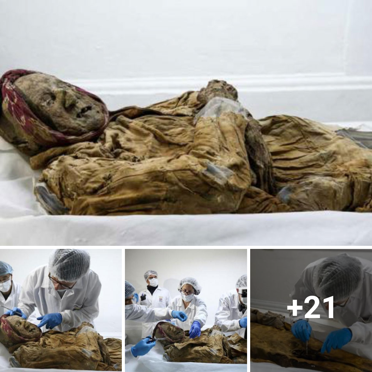 The Key to Understanding a Painful Global Illness Is Found in Ecuador’s Mummy of Guano
