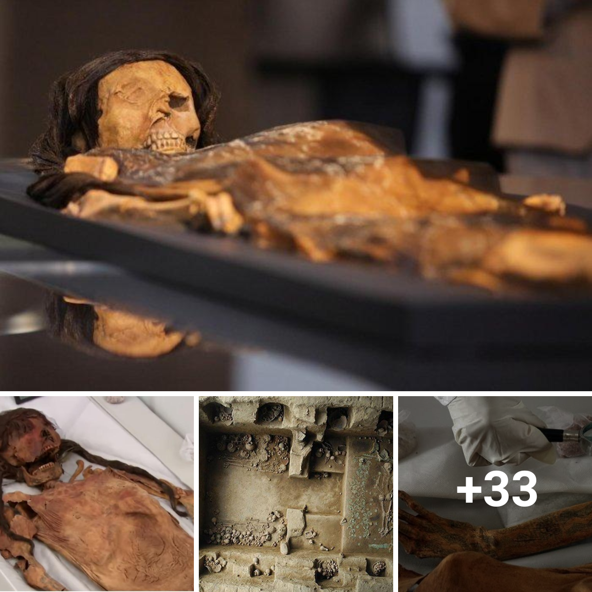 revealing historical marvels: A female Moche mummy that has survived for more than 1,200 years was found by researchers at the El Brujo archeological site.