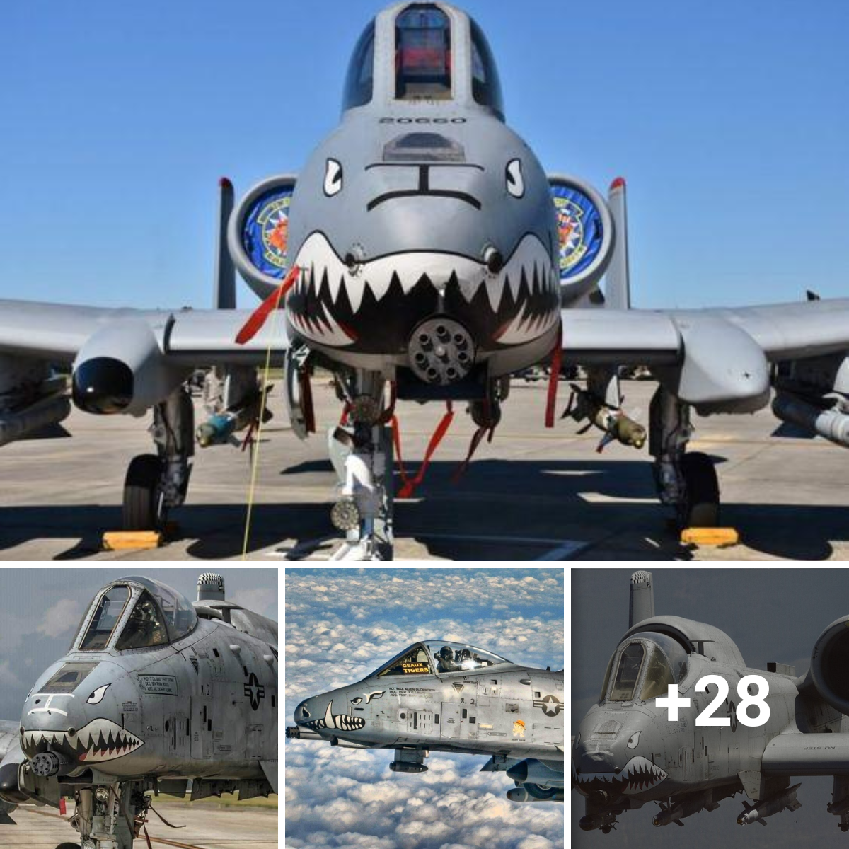 The A-10 Warthog: The Beast of Low Altitude Close Air Support