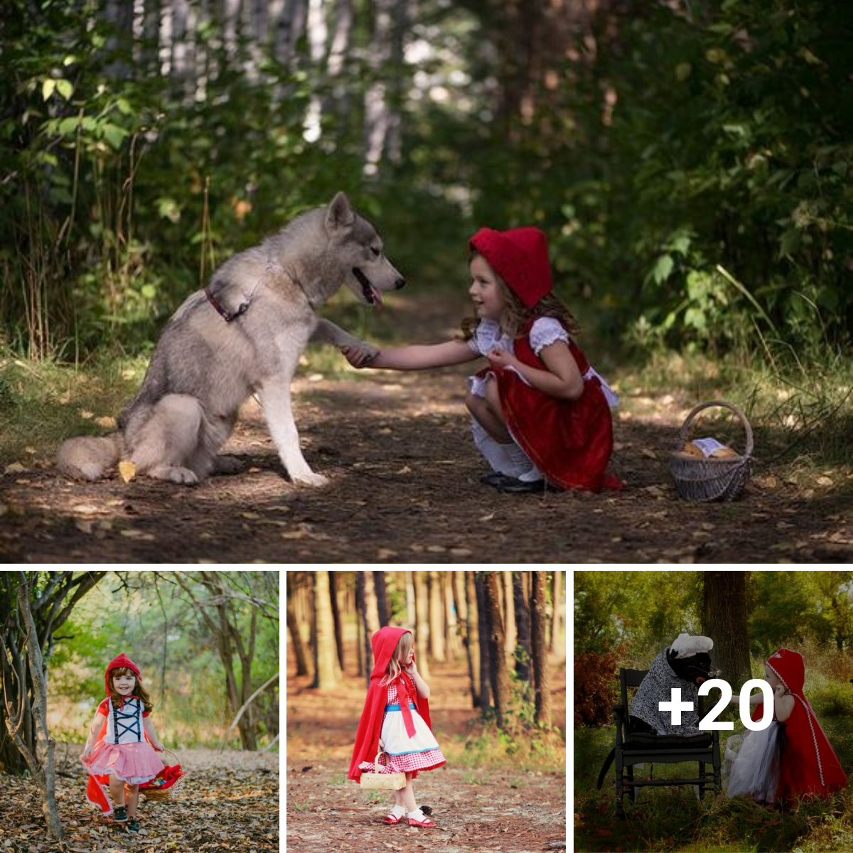 Little Red Riding Hood sets forth on her ages-old adventure, lost in the enchanted woods and navigating its secrets with bravery and innocence.