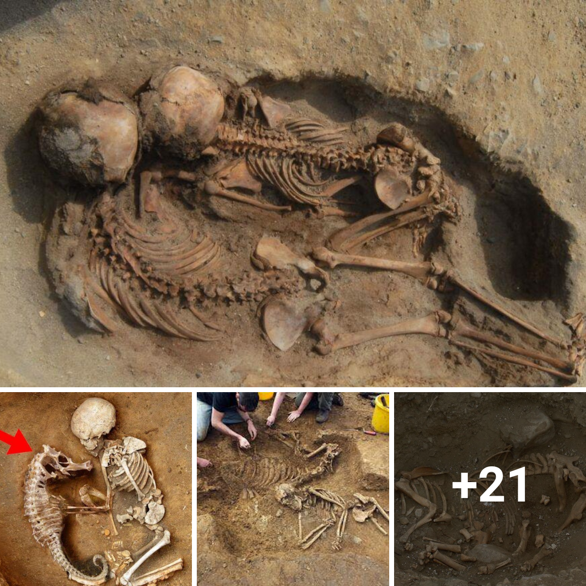 Seahorse and baby bones discovered during an ancient burial ceremony “gives viewers chills”