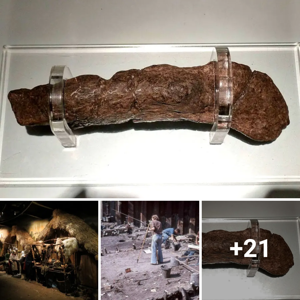 This fossilized human excrement, which is the largest ever discovered, is valued at $39,000.